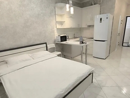 Снять однокомнатную квартиру Отдельская ул, 30  м&sup2;, 2875 рублей
