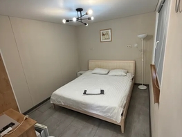 Снять однокомнатную квартиру Фадеева ул, 22  м&sup2;, 3500 рублей