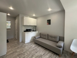 Снять однокомнатную квартиру Курортный пр-кт, 20  м&sup2;, 3000 рублей