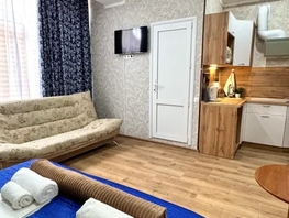 Снять однокомнатную квартиру Просвещения ул, 30  м&sup2;, 3200 рублей