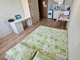 Снять однокомнатную квартиру Героя Владислава Посадского ул, 24  м&sup2;, 2099 рублей