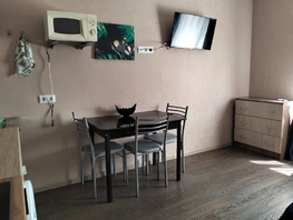 Снять однокомнатную квартиру Терновая ул, 20  м&sup2;, 2500 рублей