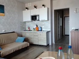 Снять однокомнатную квартиру Астраханская ул, 33  м&sup2;, 2900 рублей