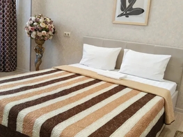 Снять однокомнатную квартиру Владимирская ул, 52  м&sup2;, 2700 рублей