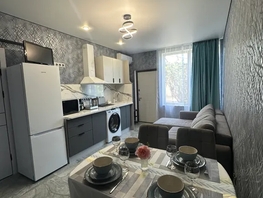Снять однокомнатную квартиру Фисташковая ул, 18  м&sup2;, 3000 рублей