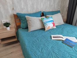 Снять однокомнатную квартиру Дзержинского пр-кт, 27  м&sup2;, 3960 рублей