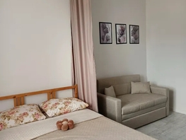 Снять однокомнатную квартиру Портовая ул, 21  м&sup2;, 3000 рублей