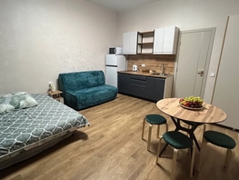 Снять однокомнатную квартиру Калинина ул, 23  м&sup2;, 2500 рублей