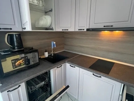 Снять однокомнатную квартиру Трунова пер, 30  м&sup2;, 385702 рублей