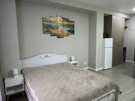 Снять однокомнатную квартиру Клубничная ул, 21  м&sup2;, 2700 рублей