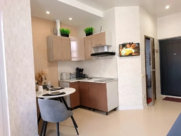 Снять однокомнатную квартиру Просвещения ул, 22  м&sup2;, 2800 рублей
