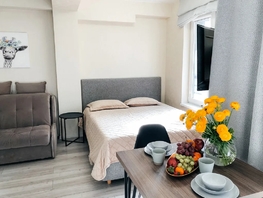 Снять однокомнатную квартиру Старошоссейная ул, 24  м&sup2;, 3200 рублей