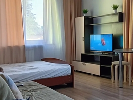 Снять однокомнатную квартиру Тюльпанов ул, 28  м&sup2;, 3800 рублей