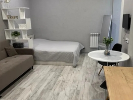 Снять однокомнатную квартиру Станиславского ул, 28  м&sup2;, 3750 рублей