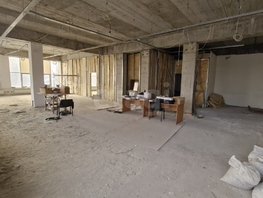 Сдается Универ. помещ Маяковского ул, 248.7  м&sup2;, 223830 рублей