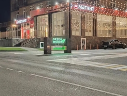 Снять однокомнатную квартиру Пушкина ул, 48  м&sup2;, 2700 рублей