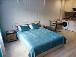 Снять однокомнатную квартиру Косякина ул, 20  м&sup2;, 2400 рублей