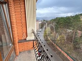 Продается 1-комнатная квартира Парковая ул, 52  м², 18500000 рублей