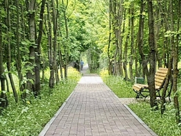 Продается 1-комнатная квартира Кленовая роща ул, 42 м², 6400000 рублей