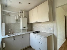 Продается 1-комнатная квартира 12-я линия ул, 24.2  м&sup2;, 5200000 рублей