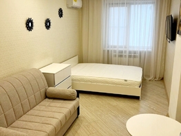 Снять однокомнатную квартиру Кировский пр-кт, 40  м&sup2;, 40000 рублей