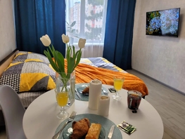 Снять однокомнатную квартиру Севастопольская ул, 17  м&sup2;, 2596 рублей