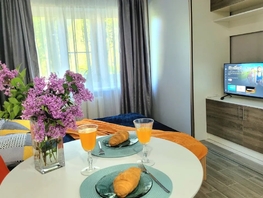 Снять однокомнатную квартиру Макаровского ул, 20  м&sup2;, 2596 рублей