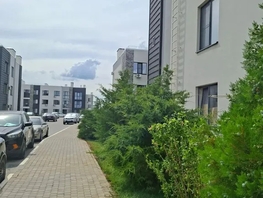 Снять однокомнатную квартиру Олимпийское Кольцо ул, 43  м&sup2;, 3800 рублей