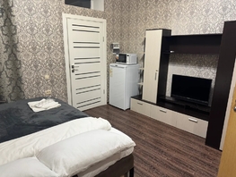 Снять однокомнатную квартиру Баклановский пр-кт, 20  м&sup2;, 2490 рублей