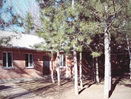 Снять  дом Центральная ул, 44  м&sup2;, 8000 рублей