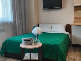 Снять однокомнатную квартиру Платова ул, 30  м&sup2;, 3100 рублей