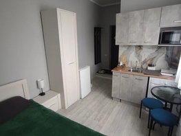 Снять однокомнатную квартиру Чкалова ул, 20  м&sup2;, 2300 рублей