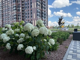 Снять однокомнатную квартиру Александра Невского ул, 25  м&sup2;, 3500 рублей