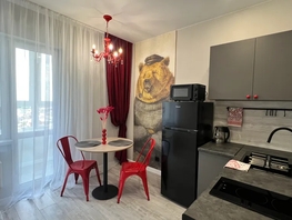 Снять однокомнатную квартиру Александра Невского ул, 40  м&sup2;, 4000 рублей