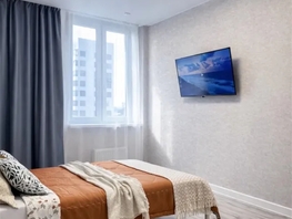 Снять однокомнатную квартиру Соколова пр-кт, 42  м&sup2;, 3198 рублей