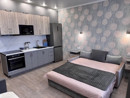 Снять однокомнатную квартиру Ткачева ул, 27  м&sup2;, 2800 рублей