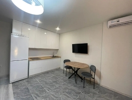 Снять однокомнатную квартиру Соколова пр-кт, 35  м&sup2;, 4373 рублей