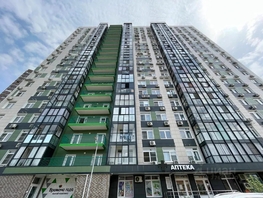 Снять однокомнатную квартиру Сиверса пр-кт, 30  м&sup2;, 3600 рублей