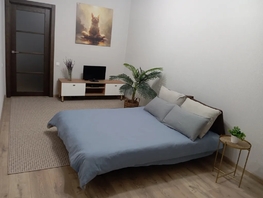 Снять однокомнатную квартиру Нансена ул, 43  м&sup2;, 2690 рублей