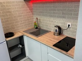 Снять однокомнатную квартиру Соколова пр-кт, 26  м&sup2;, 3100 рублей