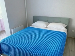 Снять однокомнатную квартиру Ткачева ул, 38  м&sup2;, 2750 рублей