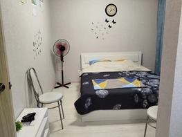 Снять однокомнатную квартиру Дмитрия Петрова ул, 28  м&sup2;, 2300 рублей