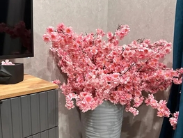 Снять однокомнатную квартиру Соколова пр-кт, 35  м&sup2;, 3600 рублей