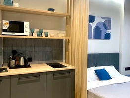 Снять однокомнатную квартиру Стабильная ул, 23  м&sup2;, 3600 рублей