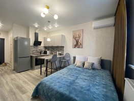 Снять однокомнатную квартиру Назарько ул, 25  м&sup2;, 2500 рублей