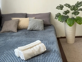 Снять  дом Музыкальный пер, 31  м&sup2;, 2950 рублей