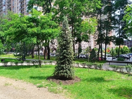 Снять однокомнатную квартиру Берберовская ул, 39  м&sup2;, 3250 рублей