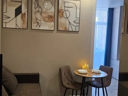 Снять однокомнатную квартиру Соколова пр-кт, 30  м&sup2;, 3810 рублей