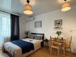 Снять однокомнатную квартиру Платова б-р, 30  м&sup2;, 2808 рублей