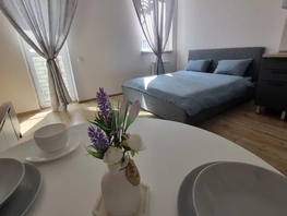 Снять однокомнатную квартиру Ленина пр-кт, 29  м&sup2;, 3800 рублей